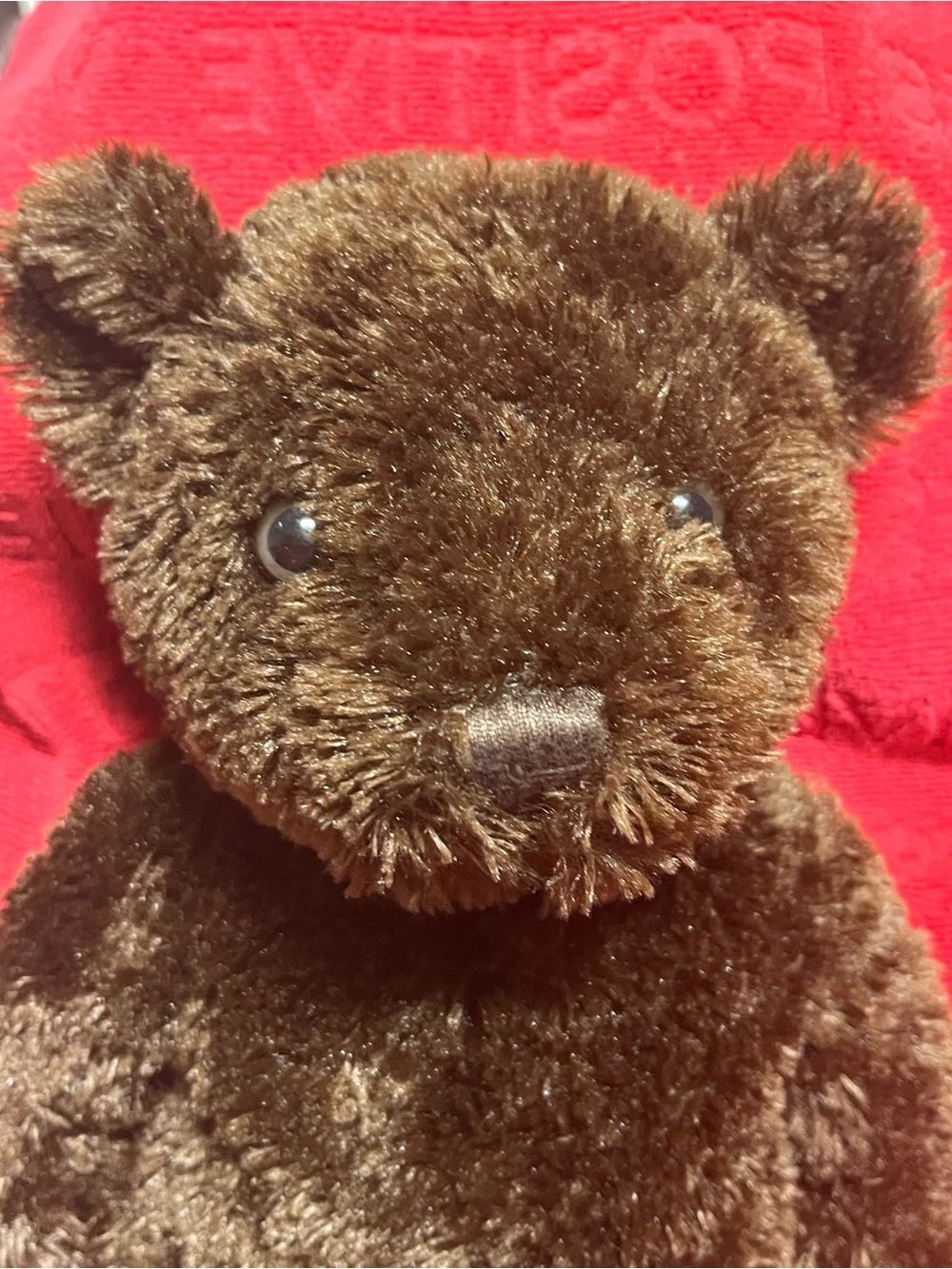 2008 30th Anniversary Cheesecake Factory Teddy Bear special edition - Picture 8 of 10